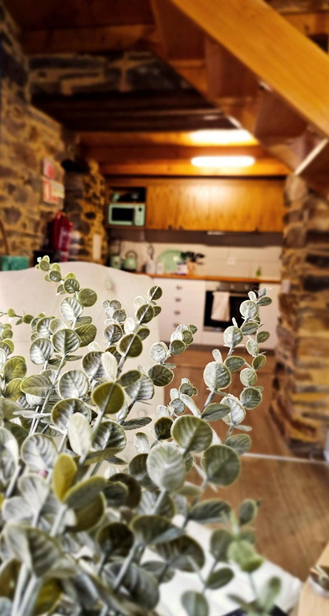 Pampihouse, Luxury Rustic House Near River Пампілльоза-да-Серра Екстер'єр фото